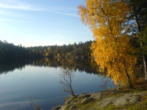 Söderbysjön oktober 2008